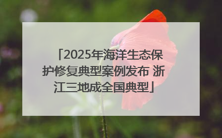 2025年海洋生态保护修复典型案例发布 浙江三地成全国典型