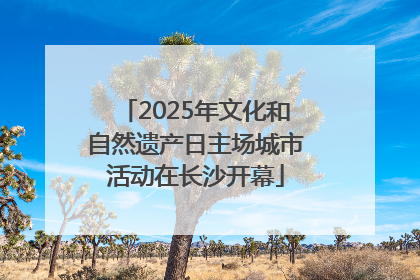 2025年文化和自然遗产日主场城市活动在长沙开幕