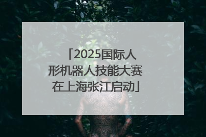 2025国际人形机器人技能大赛在上海张江启动