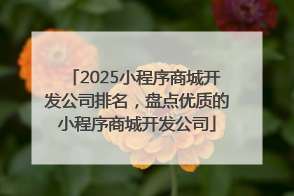2025小程序商城开发公司排名，盘点优质的小程序商城开发公司