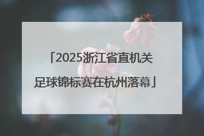 2025浙江省直机关足球锦标赛在杭州落幕
