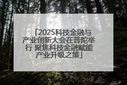 2025科技金融与产业创新大会在普陀举行 聚焦科技金融赋能产业升级之策