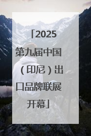 2025第九届中国（印尼）出口品牌联展开幕