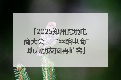 2025郑州跨境电商大会｜“丝路电商”助力朋友圈再扩容