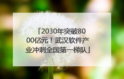 2030年突破8000亿元！武汉软件产业冲刺全国第一梯队
