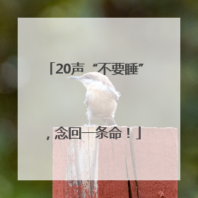 20声“不要睡”，念回一条命！