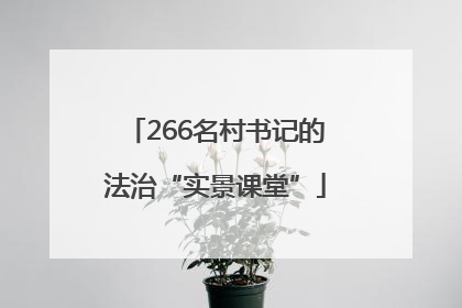 266名村书记的法治“实景课堂”