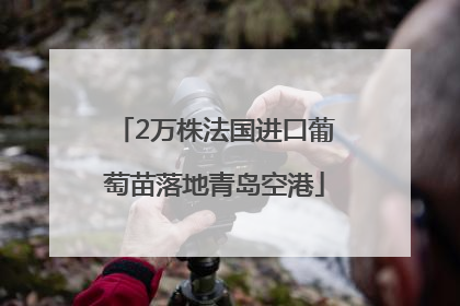 2万株法国进口葡萄苗落地青岛空港