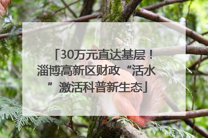 30万元直达基层！淄博高新区财政“活水”激活科普新生态