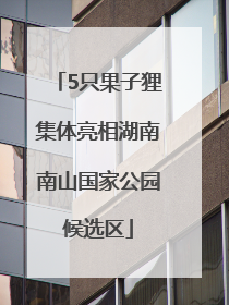 5只果子狸集体亮相湖南南山国家公园候选区