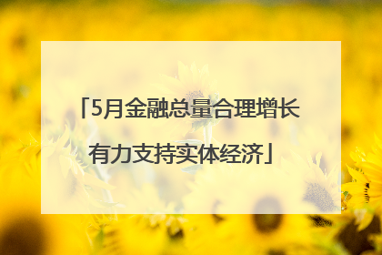 5月金融总量合理增长 有力支持实体经济
