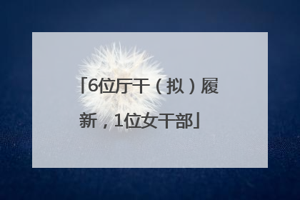 6位厅干（拟）履新，1位女干部