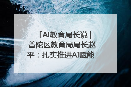 AI教育局长说 | 普陀区教育局局长赵平：扎实推进AI赋能教育，着力打造“适合教育”新体系