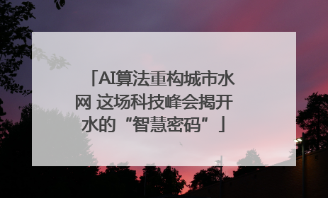 AI算法重构城市水网 这场科技峰会揭开水的“智慧密码”