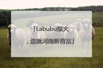 Labubu爆火，造就河南新首富